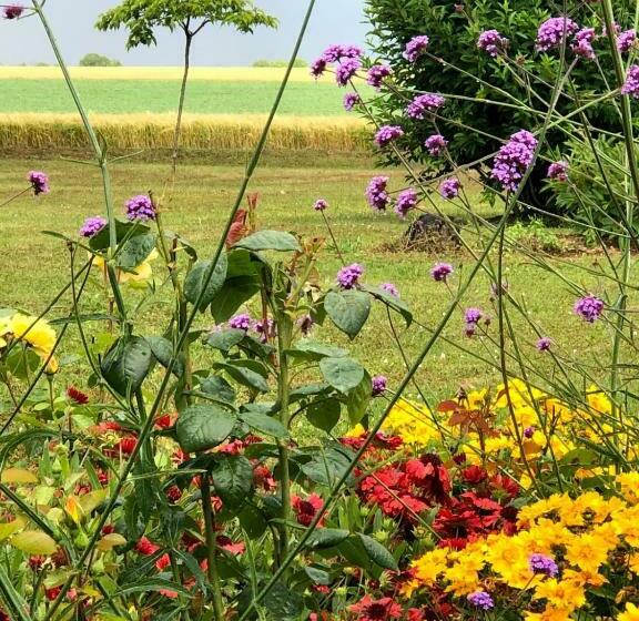 Bed and Breakfast Lagalerne