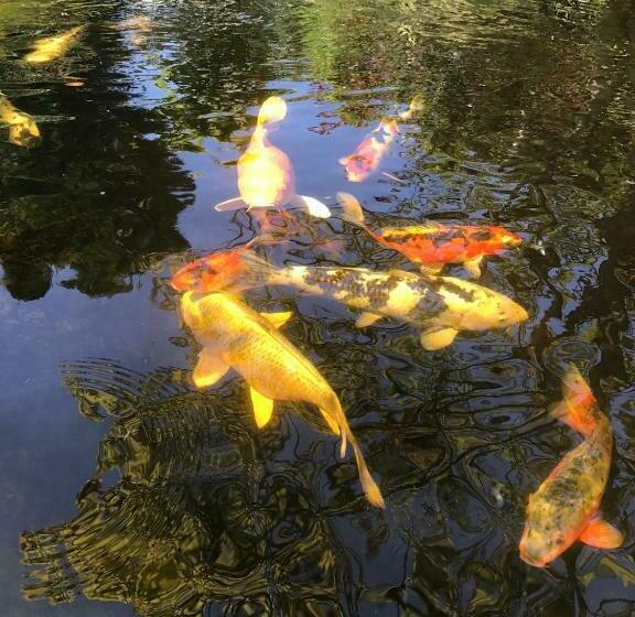 Bed and Breakfast Lagalerne