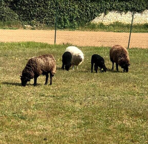 Bed and Breakfast Lagalerne