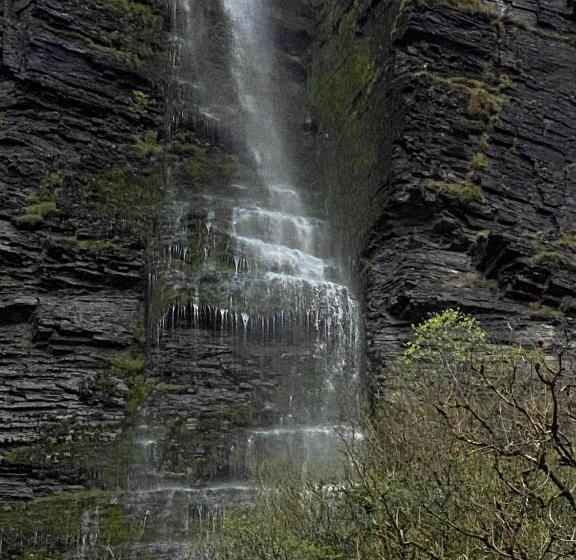 צימר Lilac Manor