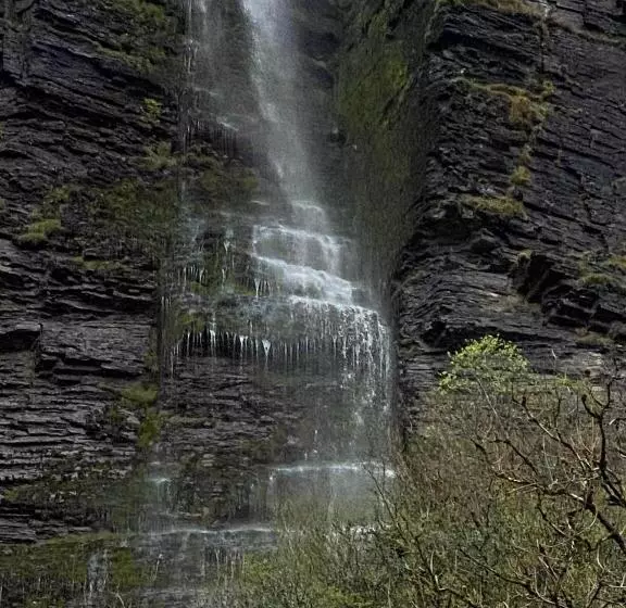 تختخواب و صبحانه Lilac Manor