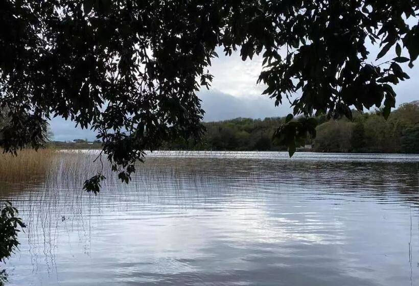 تختخواب و صبحانه Lilac Manor