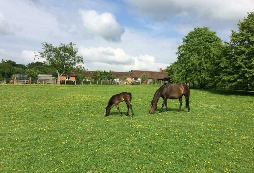 Bed and Breakfast Three Chimneys Farm Accommodation