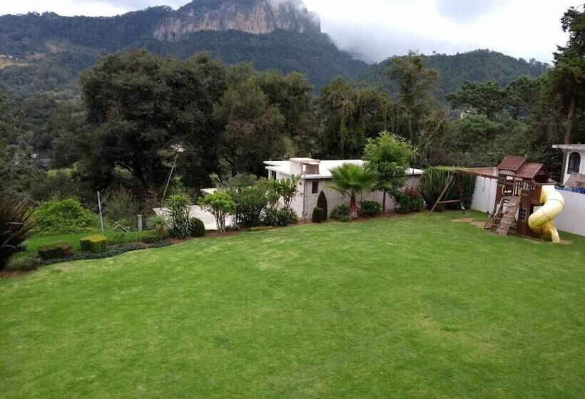 Otel Suites Don Miguel