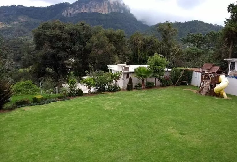 ホテル Suites Don Miguel