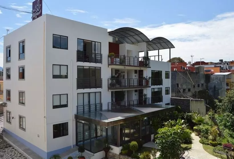 ホテル Suites Don Miguel