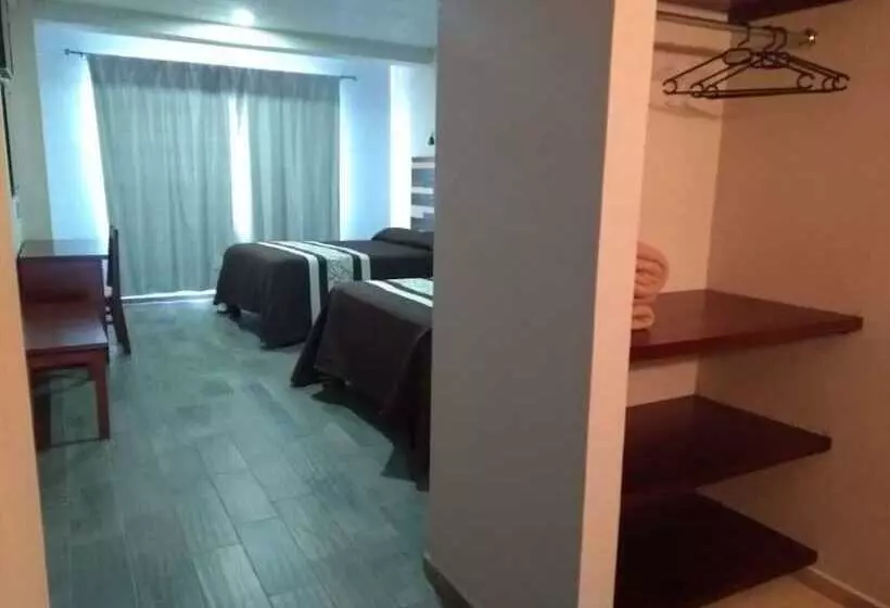 ホテル Suites Don Miguel