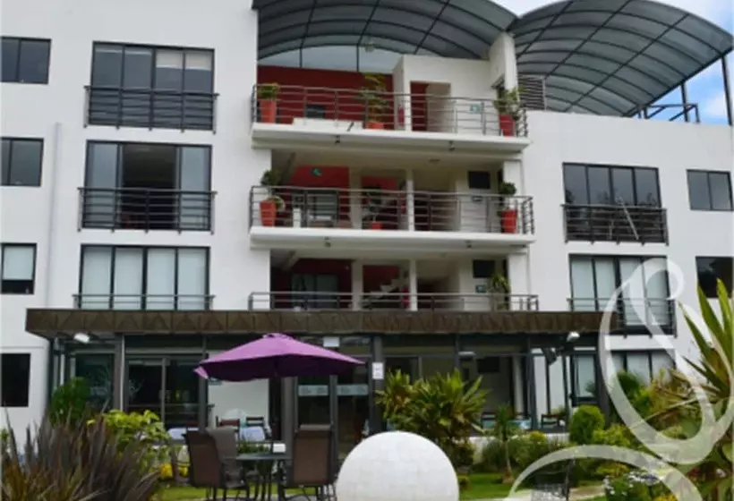 ホテル Suites Don Miguel