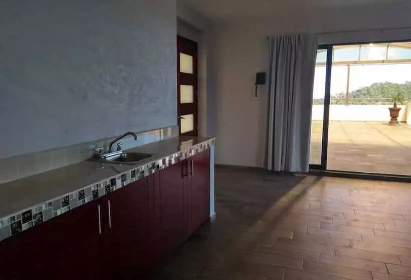 ホテル Suites Don Miguel