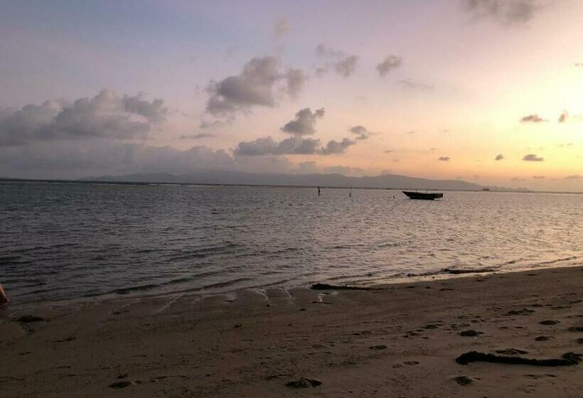 فندق The Brown House