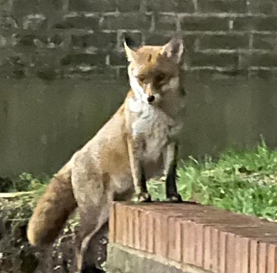 ペンション Beddington Park Lodge West