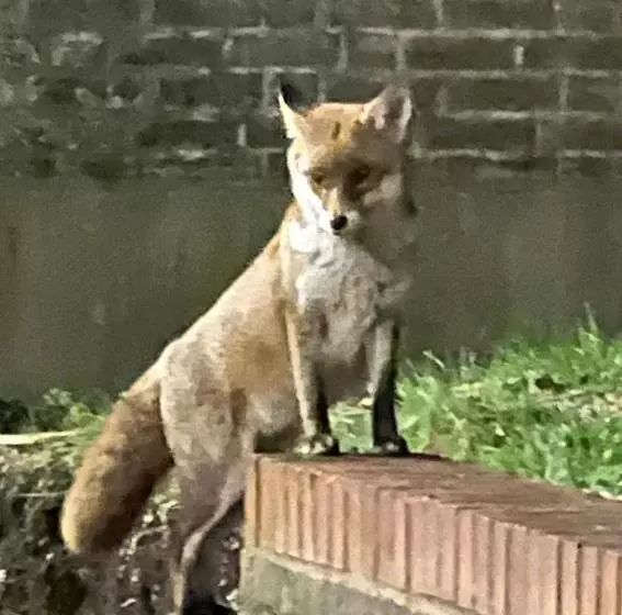 Majatalo Beddington Park Lodge West