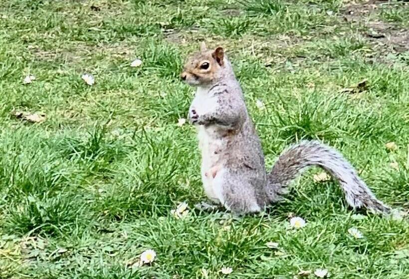 ペンション Beddington Park Lodge West