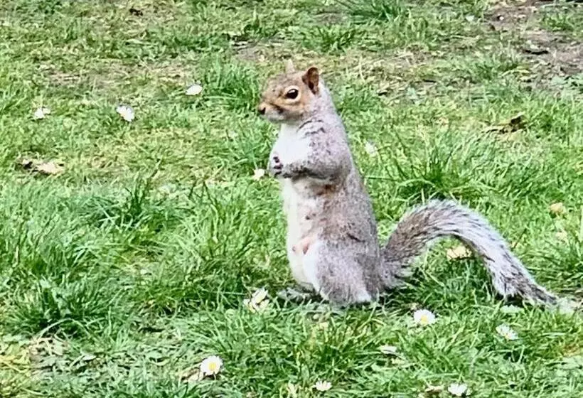 Majatalo Beddington Park Lodge West