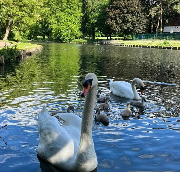 ペンション Beddington Park Lodge West