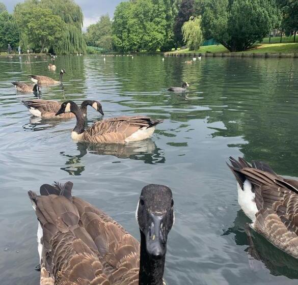 ペンション Beddington Park Lodge West