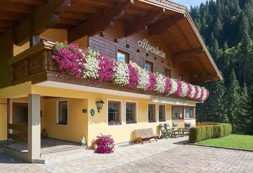 پانسیون Haus Alpenheim