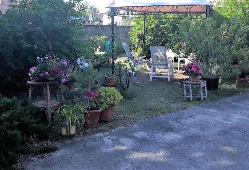 פנסיון Lucky Hostel