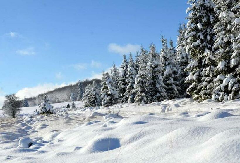 پانسیون Studio La Gileppe