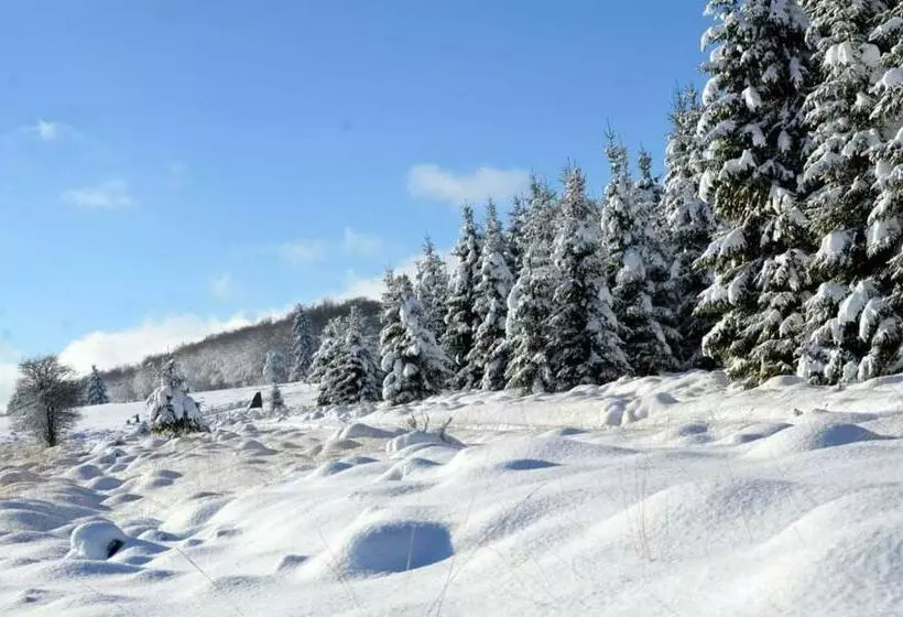 ペンション Studio La Gileppe