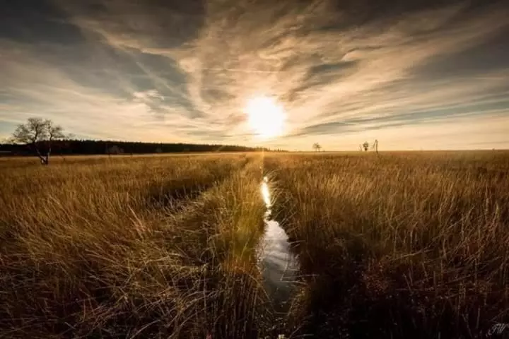 ペンション Studio La Gileppe