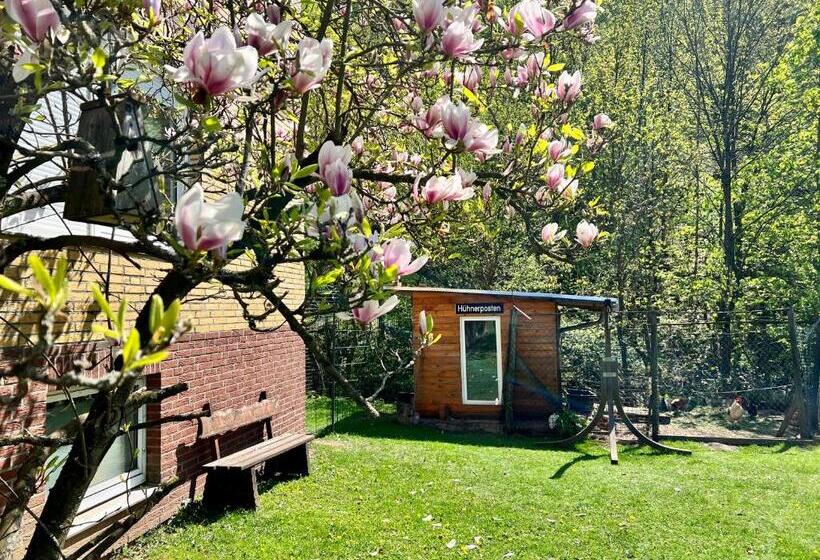 ペンション Vor Lauter Bäumen B&b