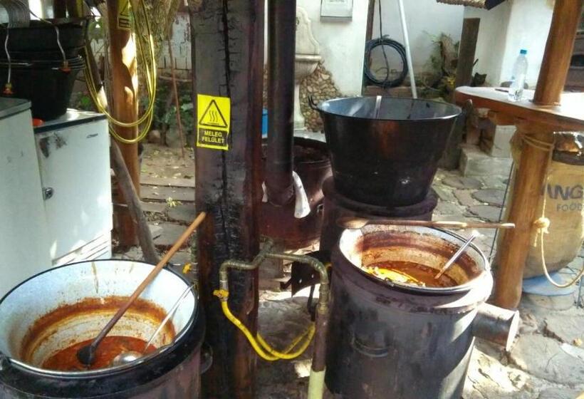 פנסיון Way To Heaven