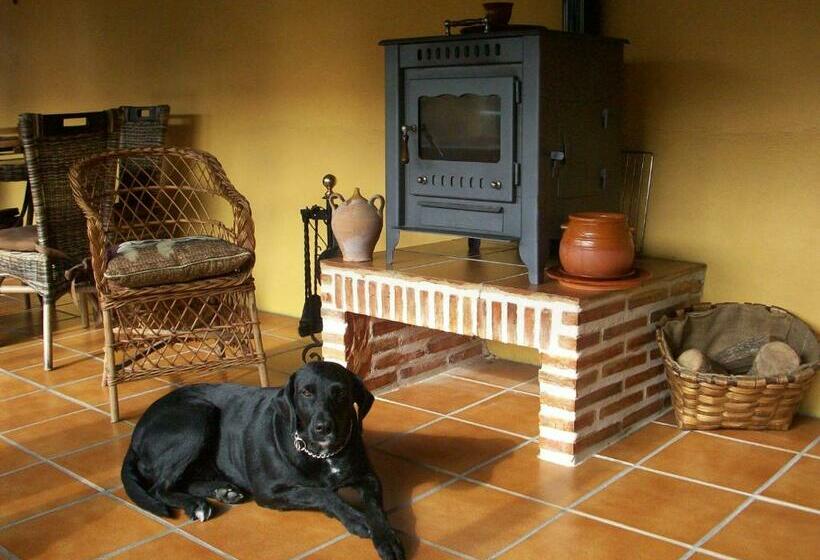 Albergue Estrella Del Camino