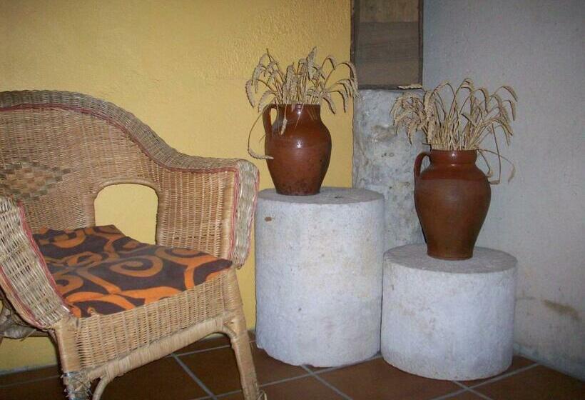 Albergue Estrella Del Camino