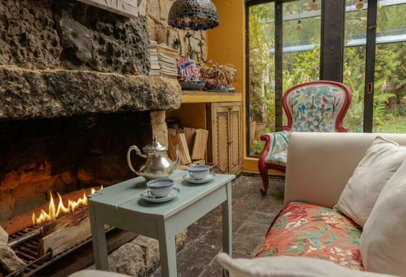 Herberge Posada Del Páramo Rnsc Bosque De Niebla