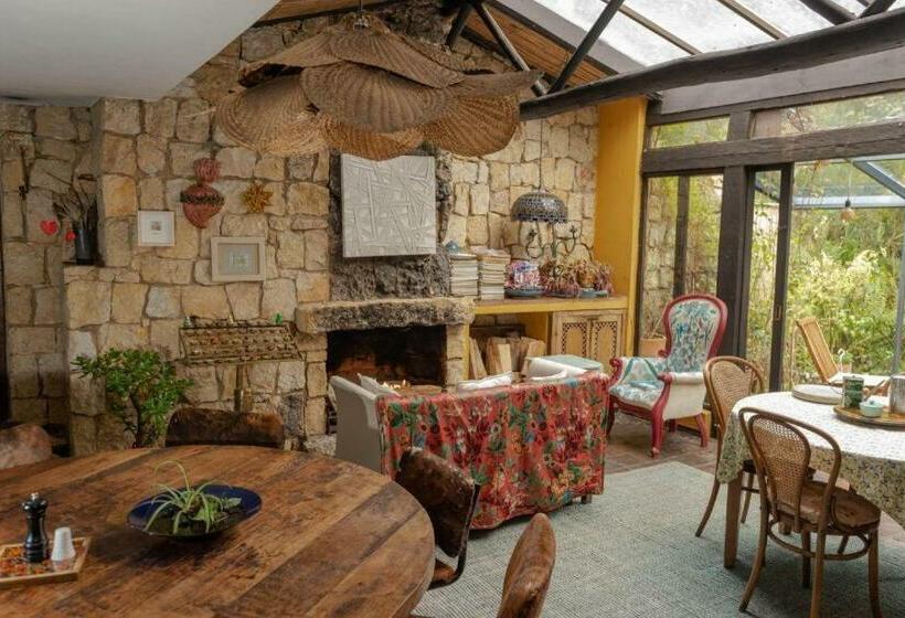 Herberge Posada Del Páramo Rnsc Bosque De Niebla