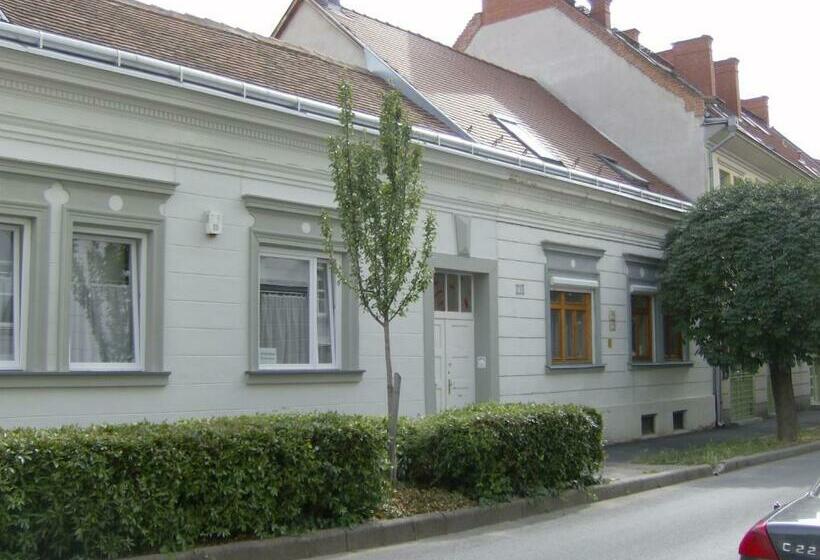 Pensionat Csapd Le Csacsi Vendégház