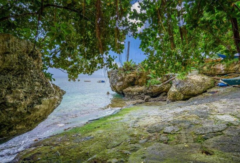 Majatalo Weyh S Studio #1 By The Ocean 100mbps