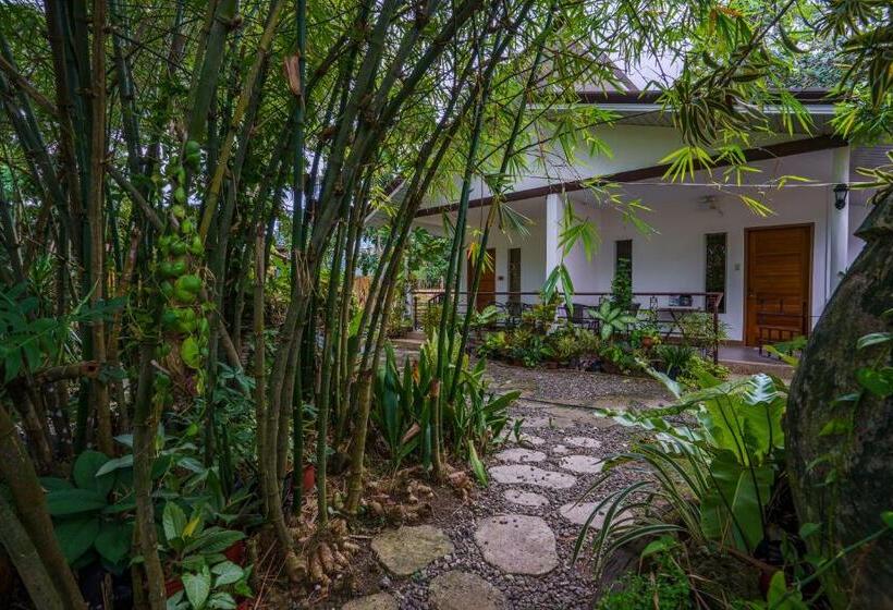 Majatalo Weyh S Studio #1 By The Ocean 100mbps