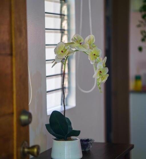 Majatalo Weyh S Studio #1 By The Ocean 100mbps