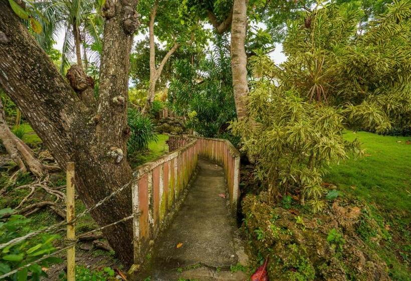 Majatalo Weyh S Studio #1 By The Ocean 100mbps