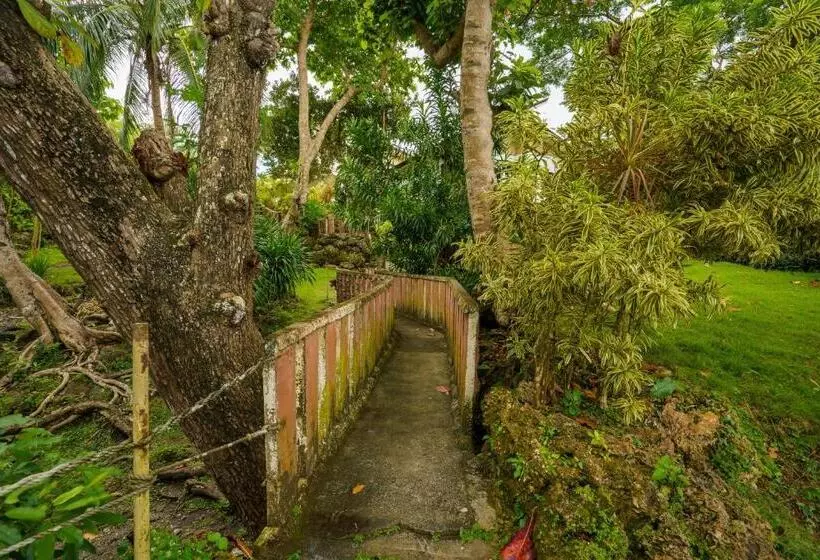 Majatalo Weyh S Studio #1 By The Ocean 100mbps