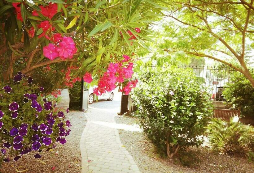 Bed and Breakfast La Maison Des Palmiers