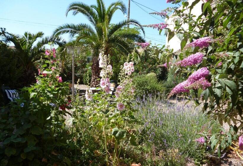 Bed and Breakfast La Maison Des Palmiers