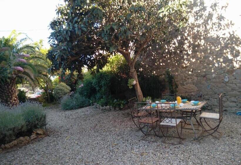 Bed and Breakfast La Maison Des Palmiers