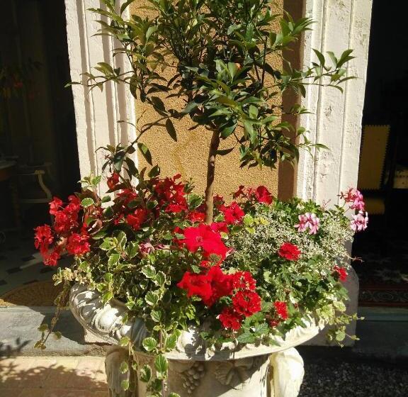 Bed and Breakfast La Maison Des Palmiers