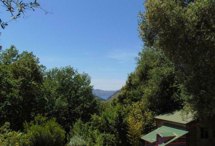 مبيت وإفطار Les Oliviers