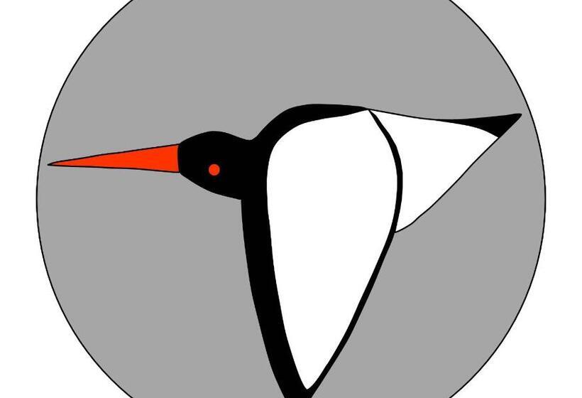 צימר Oystercatcher