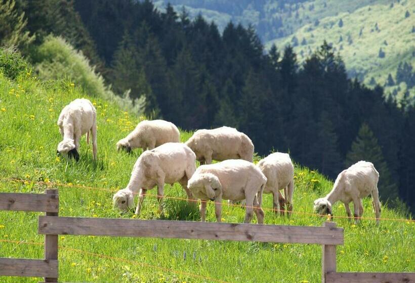 ホテル Agriturismo Maso Pertener  Adults Only