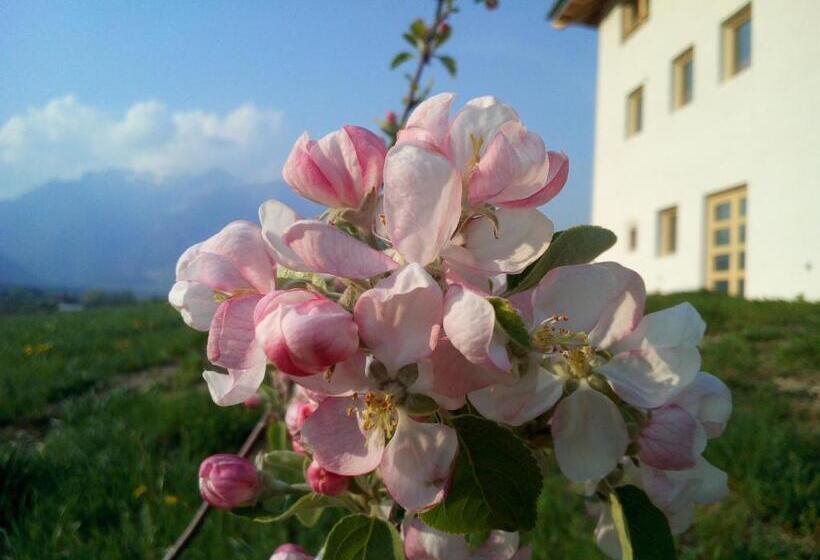 ホテル Agriturismo Maso Pertener  Adults Only