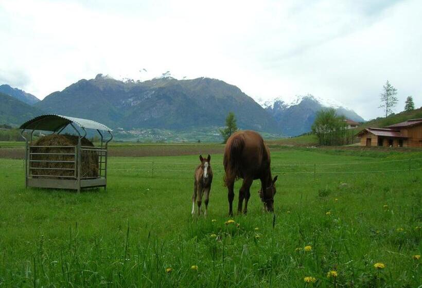 ホテル Agriturismo Maso Pertener  Adults Only