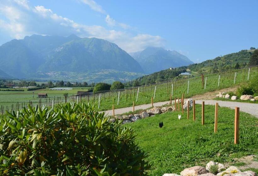 ホテル Agriturismo Maso Pertener  Adults Only