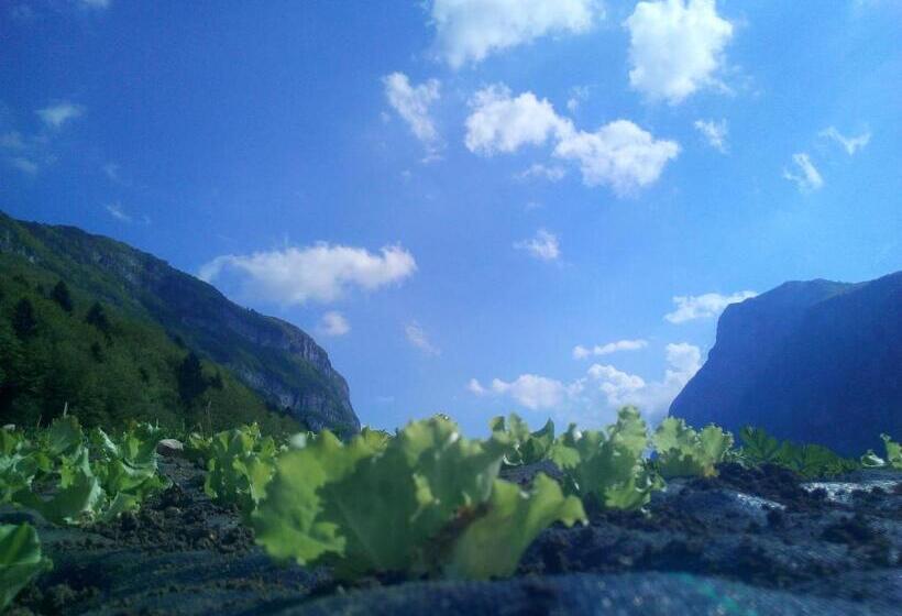 ホテル Agriturismo Maso Pertener  Adults Only