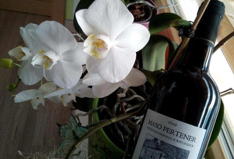 ホテル Agriturismo Maso Pertener  Adults Only