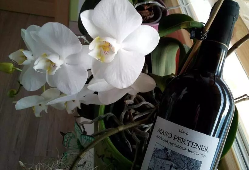 ホテル Agriturismo Maso Pertener  Adults Only